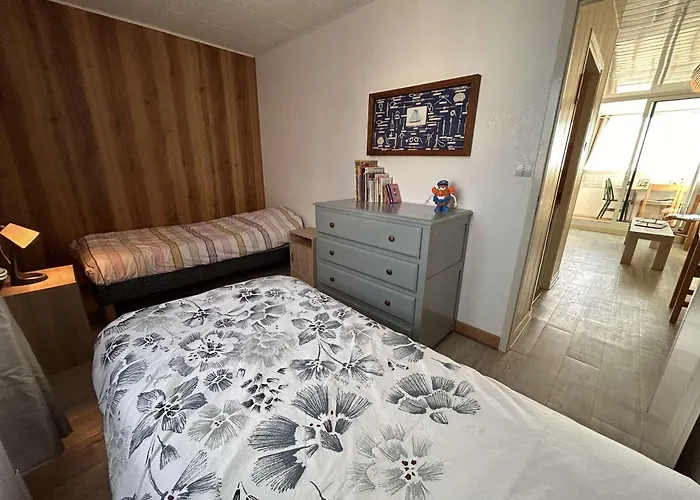 Appartement Superbe 3 Pièces, 6 Couchages, à 50m - Fr-1-224c-365